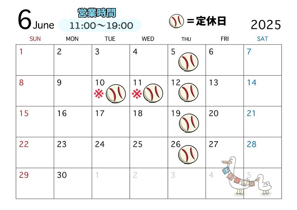 ６月の営業日です🐢